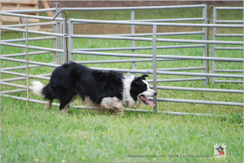 Coste Sarguet_Alto_Dimanche_0041w-web.jpg